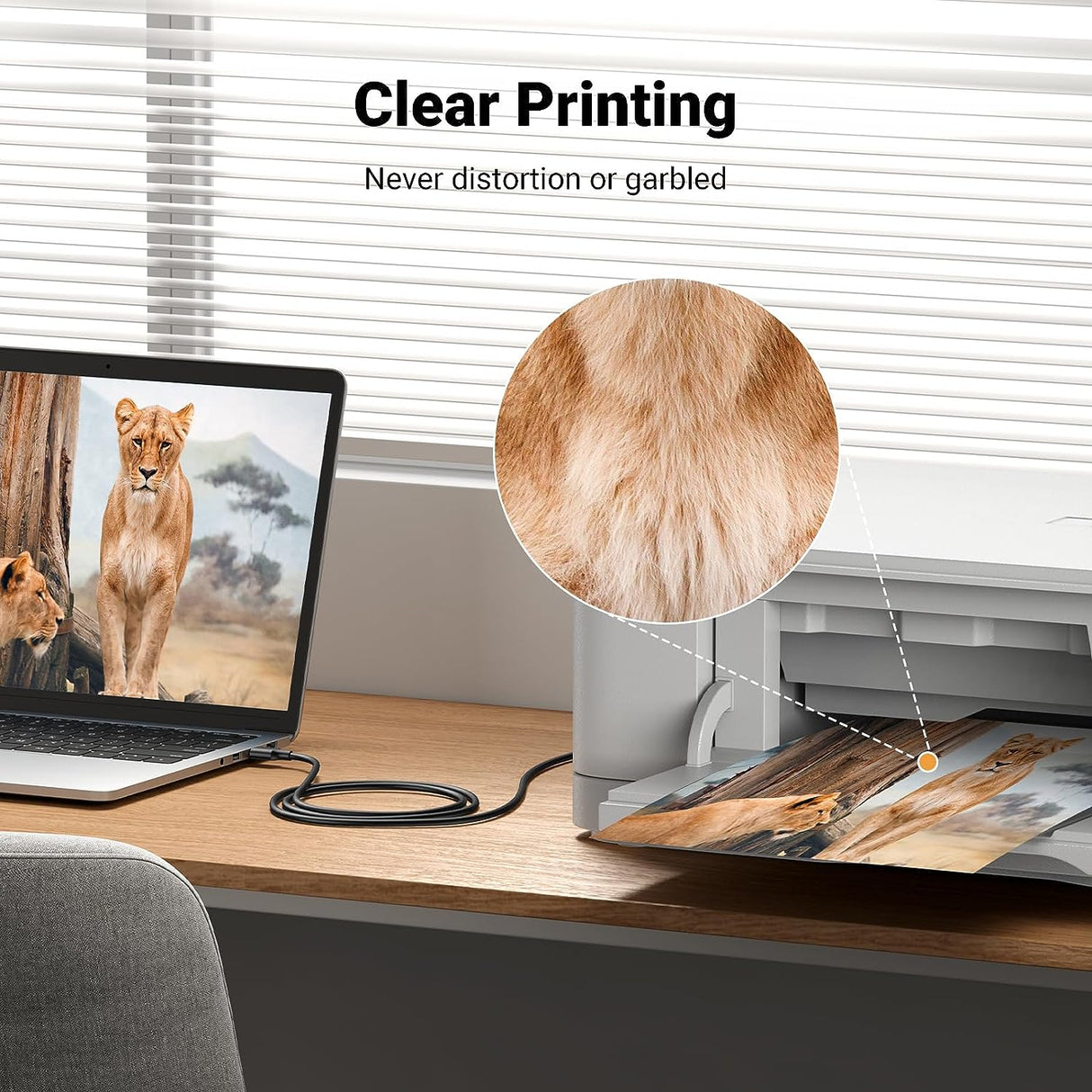 UGREEN USB 2.0 Printer Cable 5M A to B Male Gold Plated HP Canon Epson Dell Samsung Scanner Cord (10352) Ugreen